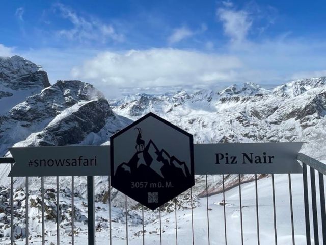 瑞士-奈爾峰 Piz Nair，搭纜車看阿爾卑斯網紅山羊