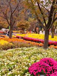 Discovering Daegu: A Perfect Blend of Tradition and Modernity