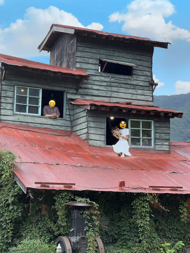 전주 지브리감성 카페 🩵