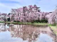 Chill Blossoms and Temple 