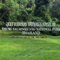 เที่ยว“อุทยานแห่งชาติทุ่งแสลงหลวงสะวันนาเมืองไทย”