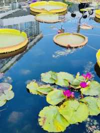 The Sejong National Arboretum