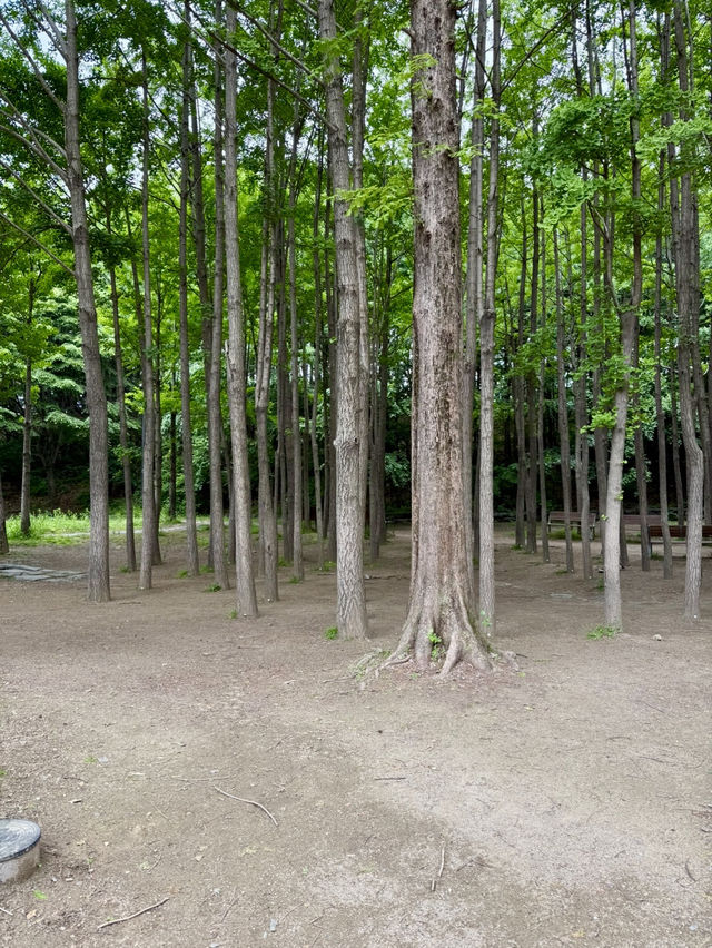 도심 속 힐링, 서울숲 산책 후기