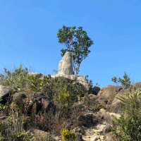 馬鞍山郊野徑（Ma On Shan Country Trail）
