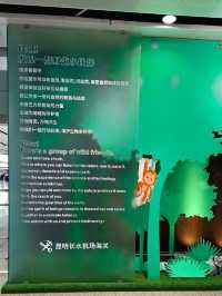 A NATURE MESSAGE FOR EVERY TRAVELLER IN KUNMING CHANGSHUI AIRPORT
