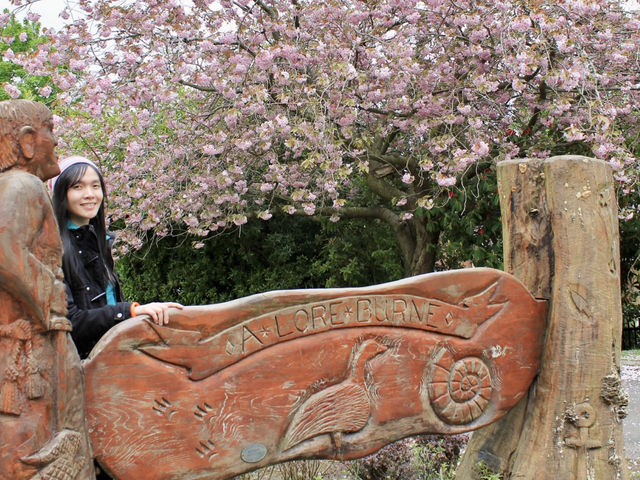 Whispers of Spring in Dumfries: Sakura Blooms, Riverside Serenity, and Echoes of History