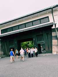 【東京の穴場なオアシス・皇居周辺】  1日じっくり楽しめる、都心の緑と歴史と美味しい時間🌿🍵
