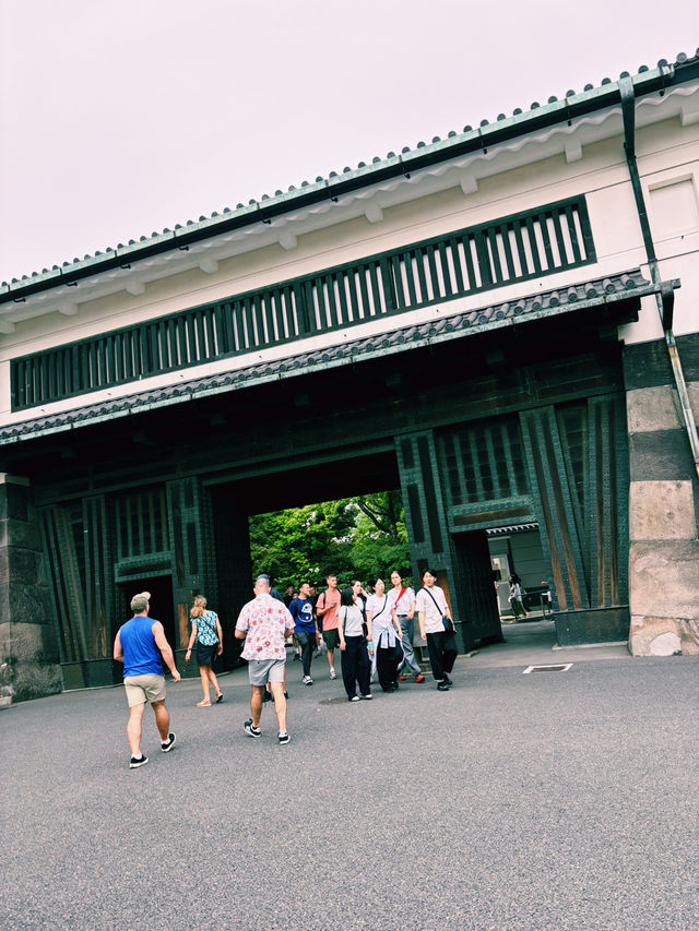 【東京の穴場なオアシス・皇居周辺】  1日じっくり楽しめる、都心の緑と歴史と美味しい時間🌿🍵