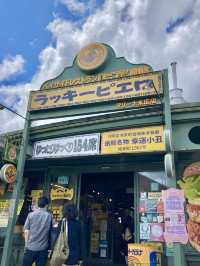 24 Hours in Hakodate – Seafood, Skylines & Satisfying Sprints