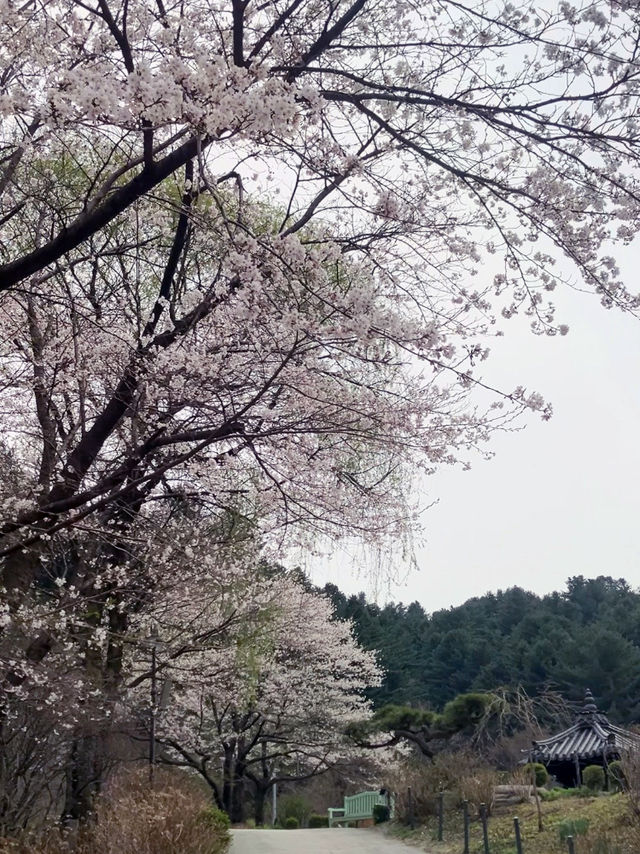 부모님과 함께하는 주말여행🎈