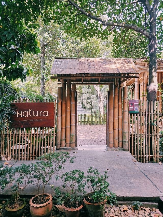 Natura Cafe | Rama2