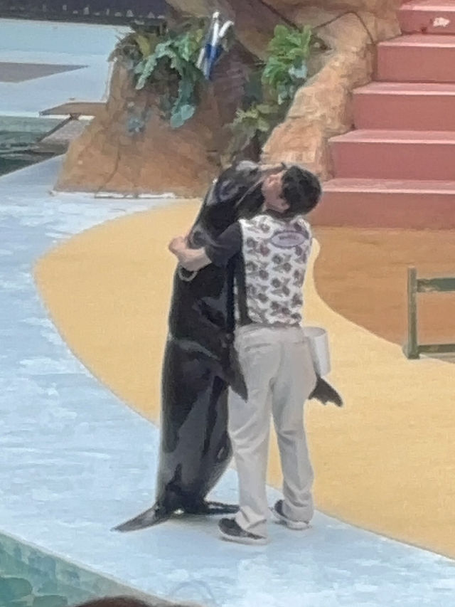 白浜のパンダ、30年間ありがとう❤️