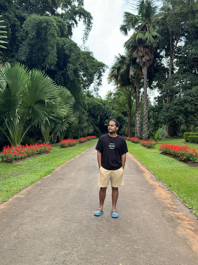 Explore Nature’s Beauty at the Royal Botanic Gardens