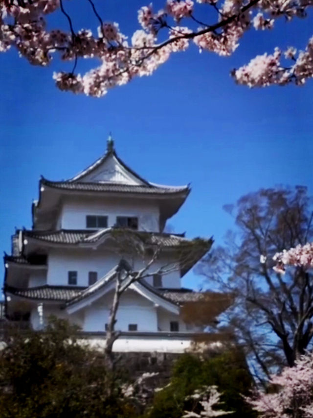 Blossoms and Blades at Igaryu Ninja Museum
