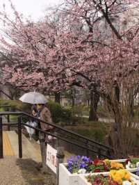 Tokyo & Kamakura Getaway