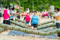 Du lịch Cát Bà chuyện chưa kể