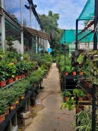 Visit Far East Flora to satiate your Spring fever!