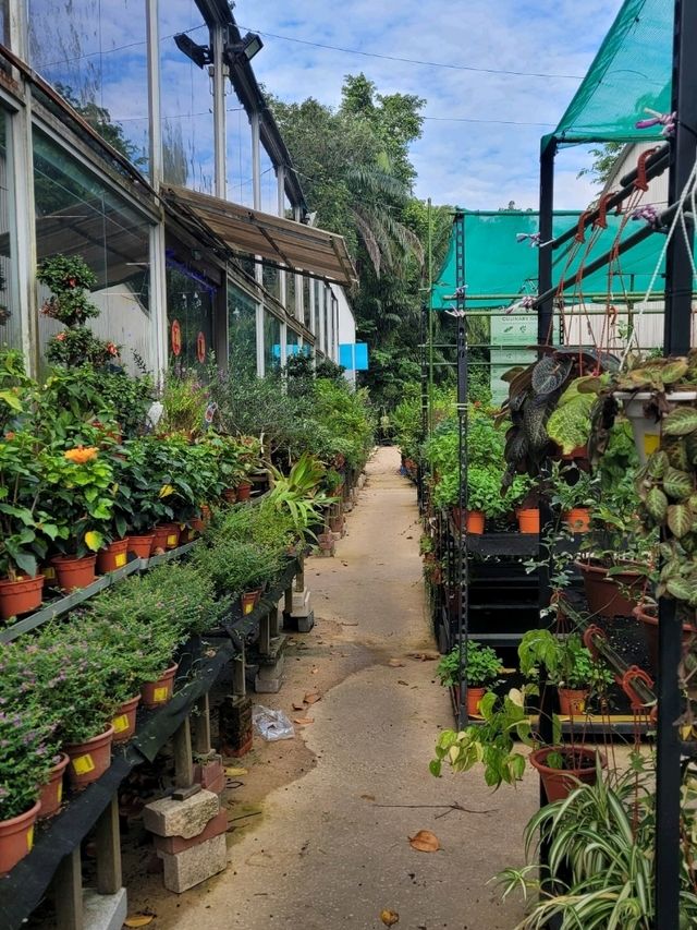 Visit Far East Flora to satiate your Spring fever!