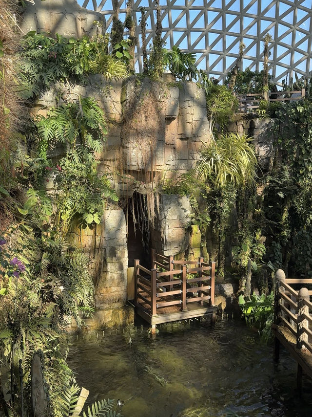 거제도 식물원 🌿