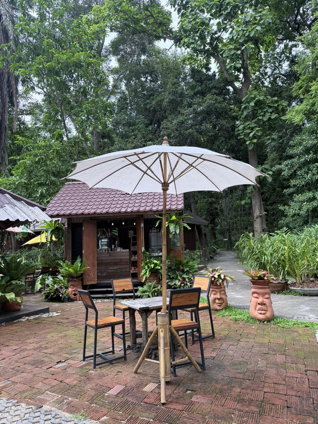 📍arboretum bliss คาเฟ่ฟีลเดินป่าแต่อยู่ในเมือง