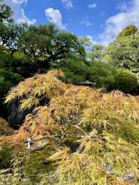 A Slow Day at Sorakuen Garden🌴