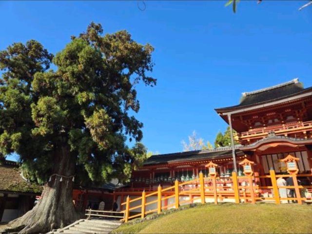 【奈良】世界遺産　春日大社（かすがたいしゃ）