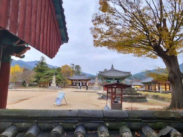 A Fun Stop at Goheung Spaceship Observatory