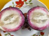 🇻🇳 안방비치 로컬맛집 
