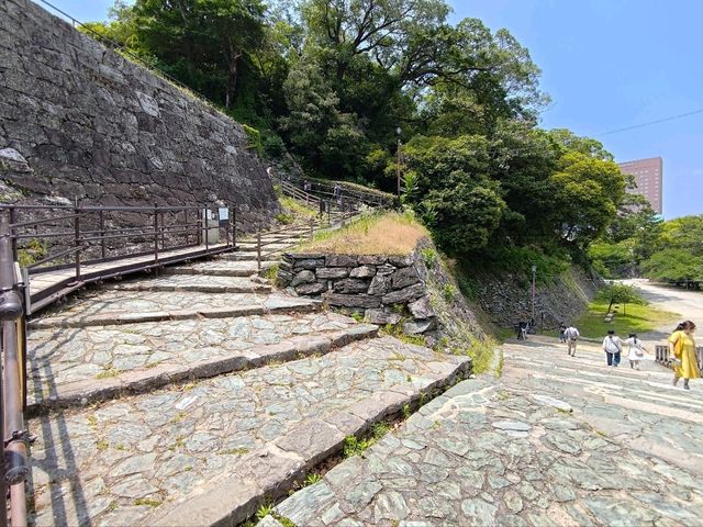 和歌山景點｜日本百大名城之一，歷史與景觀結合唯一的優雅之城—和歌山城