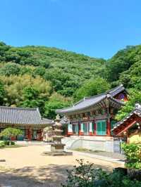 봄 햇살 아래 데이트 명소