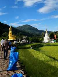 ตื่นเช้ารับบุญ ตักบาตรท่ามกลางสายหมอก