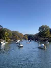 【吉祥寺 井の頭恩賜公園＆GG PIZZA】ピクニック気分で、緑と焼きたてピザの休日を🌳🍕 