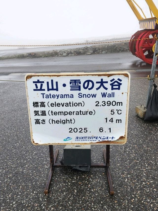 Alpine Route in June