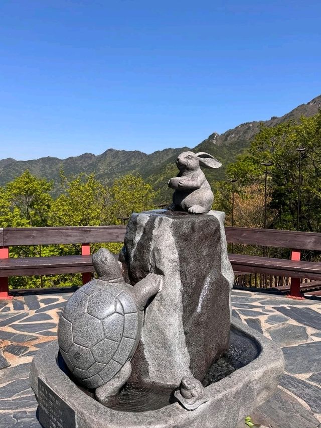 Palgongsan’s Tough Love Peak 