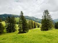 Rigi by Rail – A Peaceful Ascent with Epic Views