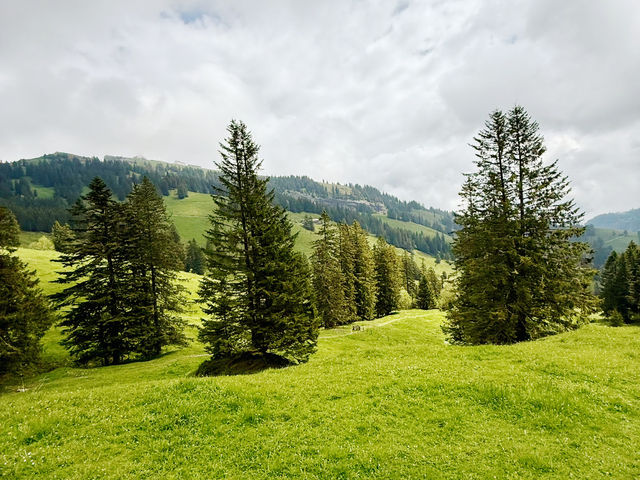 Rigi by Rail – A Peaceful Ascent with Epic Views