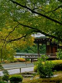 京都·西芳寺｜記憶裡的雨中苔島