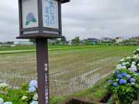 Self drive to experience Edo period traditions and sights to modern city