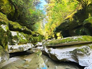 Paparoa National Park