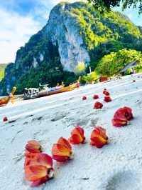 Phi phi is  breathtaking natural beauty