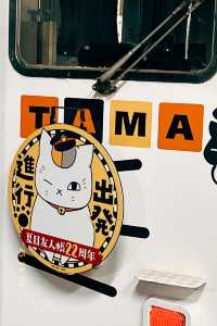 🚋小玉電車期間限定聯名！🐱夏目友人帳貓咪老師！