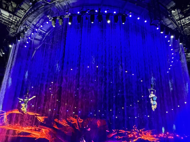 Dive into Fun at Chimelong Zhuhai! 🐠🎢🎉