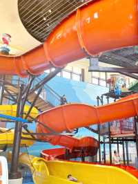 🌊🎉 Water Fun Unlimited! | Ocean Park Water World Hong Kong 🇭🇰💦