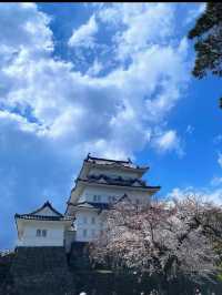 🏯戦国ロマンと絶景が交差する「小田原城」で歴史旅を満喫