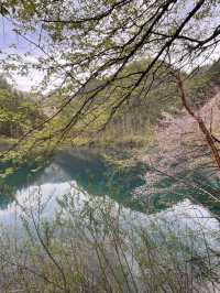 Where waterfalls sing and lakes mirror the sky: Discover Jiuzhaigou