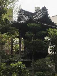 【東京　浅草寺と伝法院庭園、にぎわう寺町を歩く】