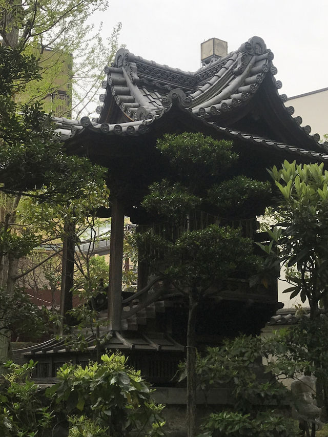【東京　浅草寺と伝法院庭園、にぎわう寺町を歩く】