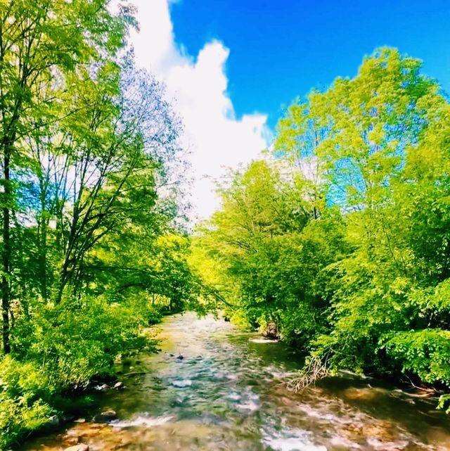 中國黑龍江響水河漂流遊玩攻略，適合夏天打卡