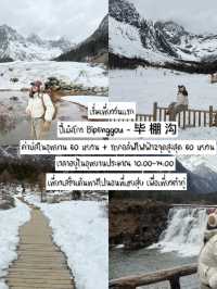 รีวิวแพลนเที่ยวทริป “เฉิงตู6วัน7คืน ”