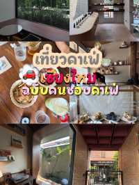 3คาเฟ่เชียงใหม่ยอดฮิต📌